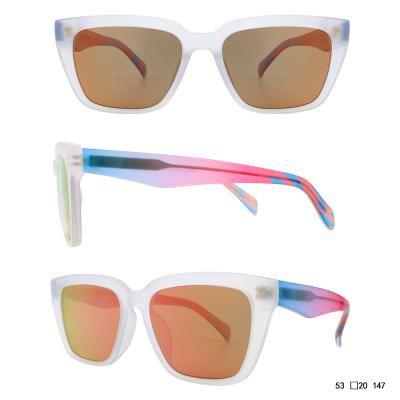 Acetate sunglasses