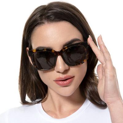 Acetate sunglasses