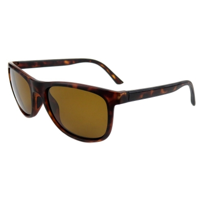 PC Frame Sunglasses