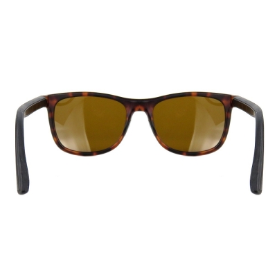 PC Frame Sunglasses