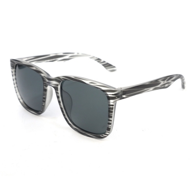 PC Frame Sunglasses