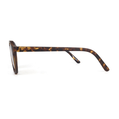 PC Frame Sunglasses