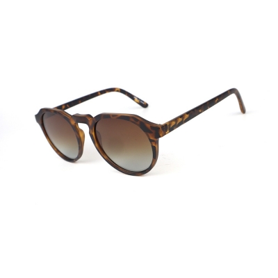 PC Frame Sunglasses