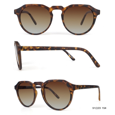 PC Frame Sunglasses