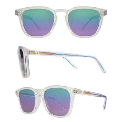 PC Frame Sunglasses