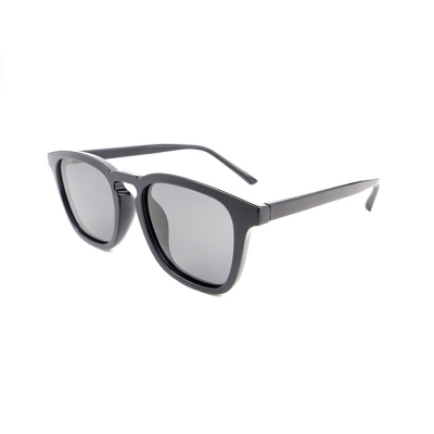 PC Frame Sunglasses