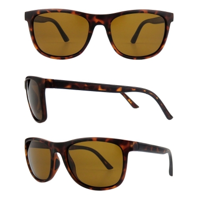PC Frame Sunglasses