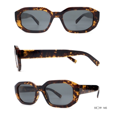 PC Frame Sunglasses
