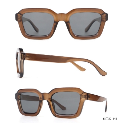 PC Frame Sunglasses