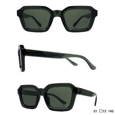 PC Frame Sunglasses