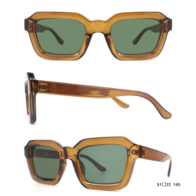 PC Frame Sunglasses