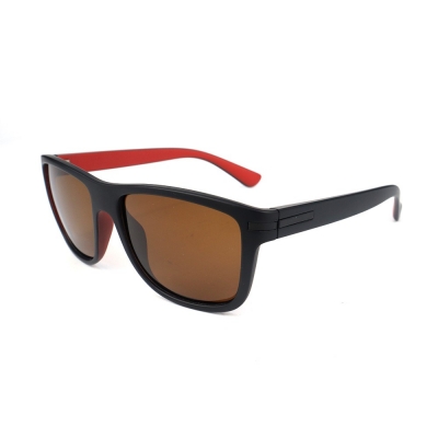 PC Frame Sunglasses