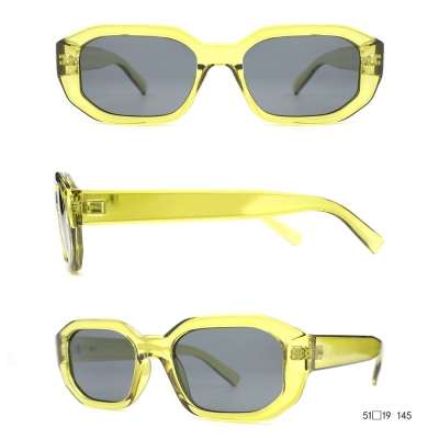 PC Frame Sunglasses