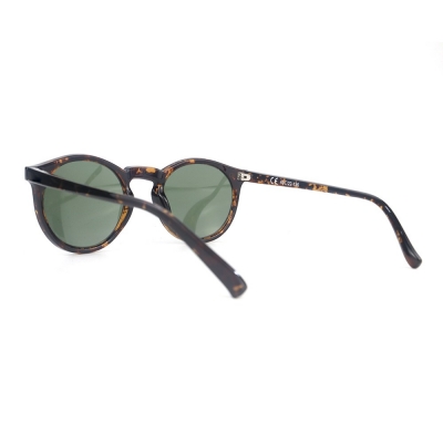PC Frame Sunglasses