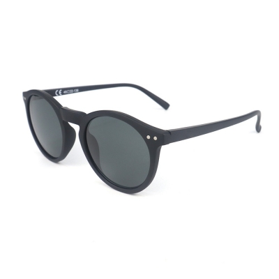 PC Frame Sunglasses