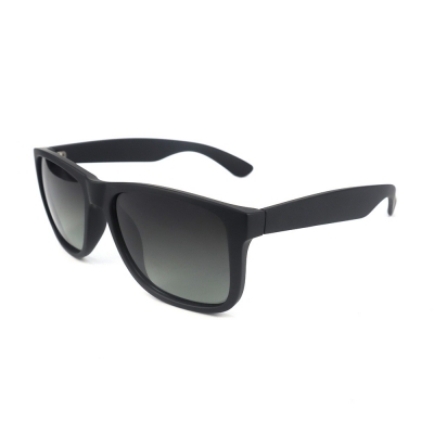 PC Frame Sunglasses