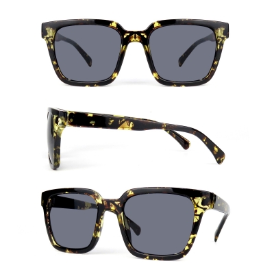 PC Frame Sunglasses
