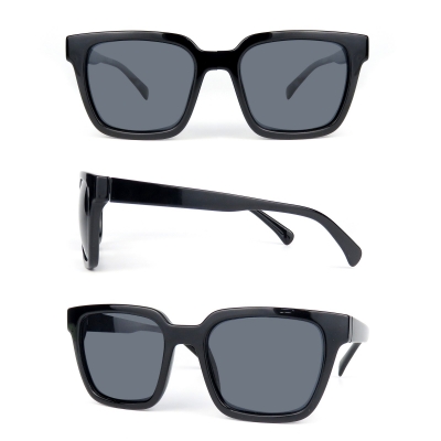 PC Frame Sunglasses