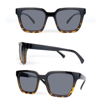 PC Frame Sunglasses