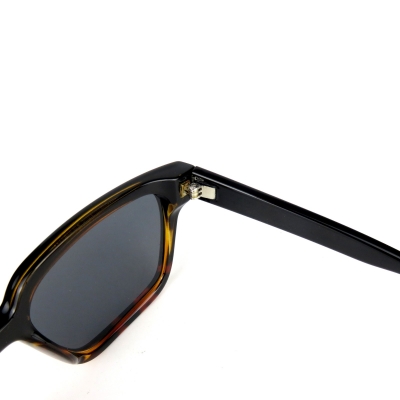 PC Frame Sunglasses