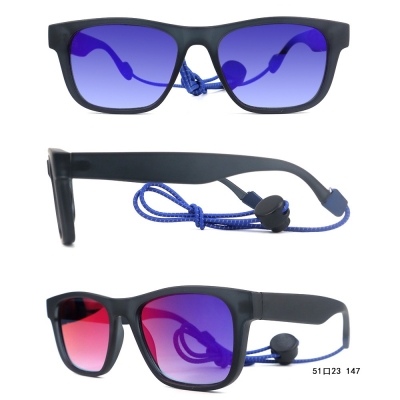 PC Frame Sunglasses