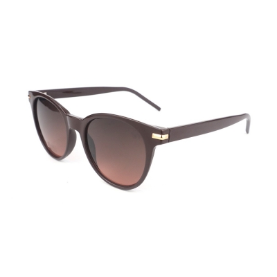 PC Frame Sunglasses