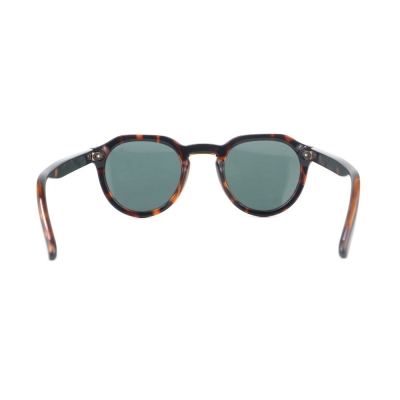 PC Frame Sunglasses