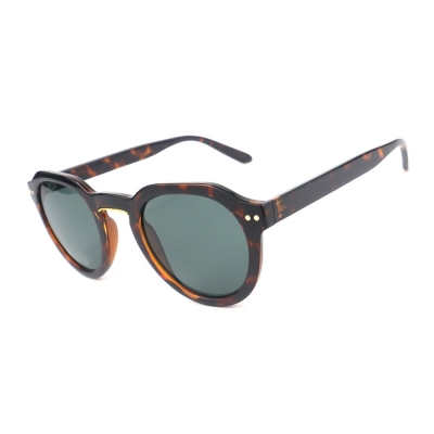 PC Frame Sunglasses