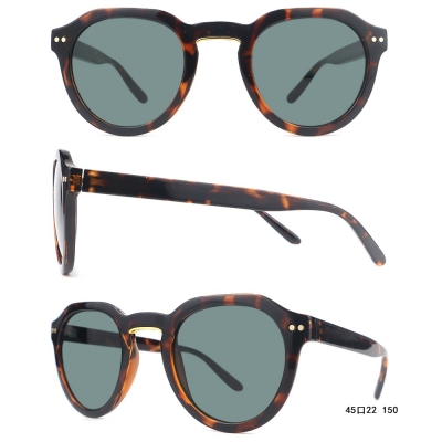 PC Frame Sunglasses
