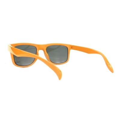 PC Frame Sunglasses