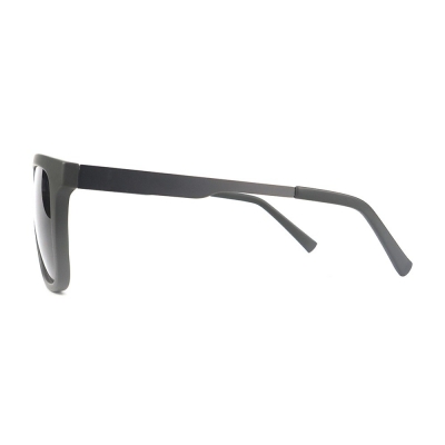 PC Frame Sunglasses