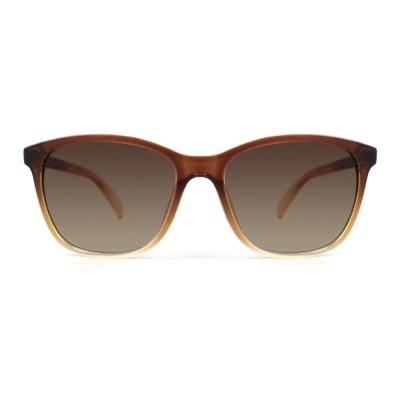 PC Frame Sunglasses