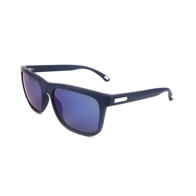 PC Frame Sunglasses
