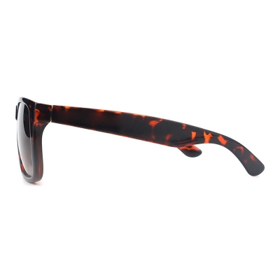 PC Frame Sunglasses