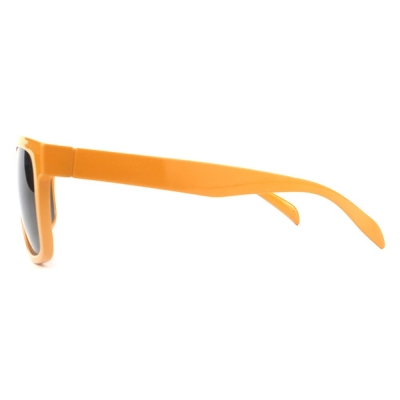 PC Frame Sunglasses