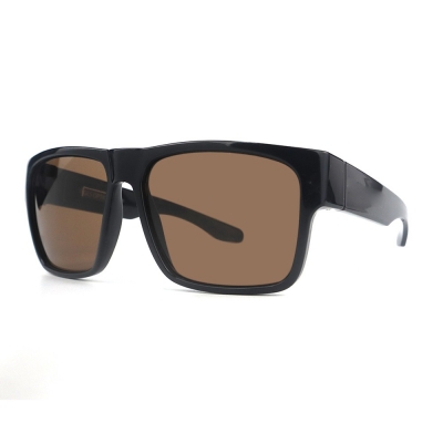 PC Frame Sunglasses
