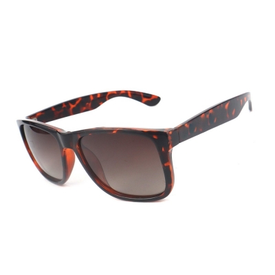 PC Frame Sunglasses