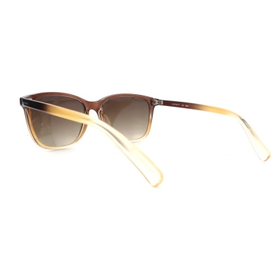 PC Frame Sunglasses