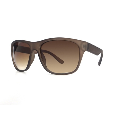 PC Frame Sunglasses