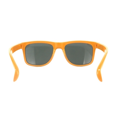 PC Frame Sunglasses
