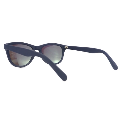 PC Frame Sunglasses