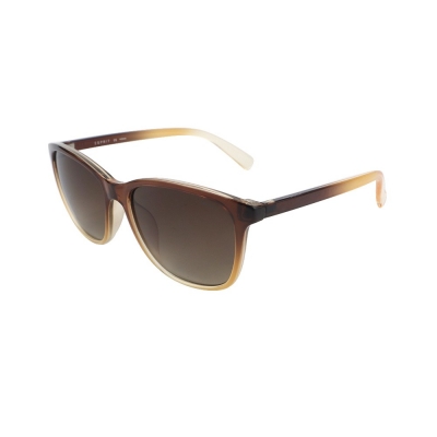 PC Frame Sunglasses