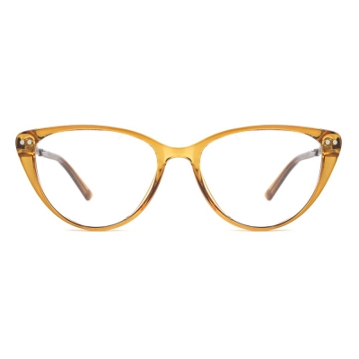 PC Frame Sunglasses