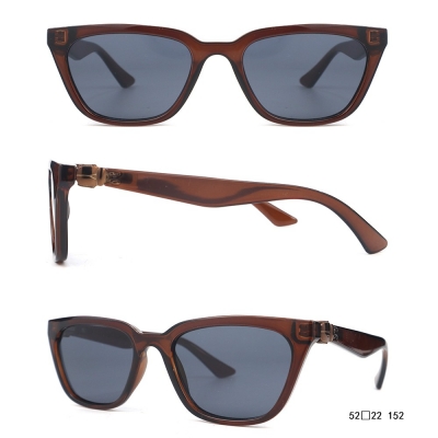 PC Frame Sunglasses
