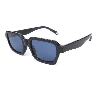 PC Frame Sunglasses