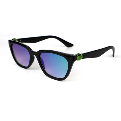 PC Frame Sunglasses