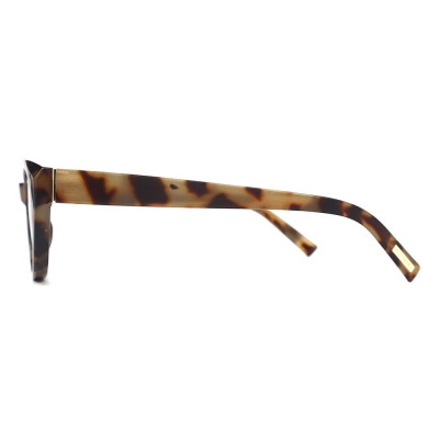 PC Frame Sunglasses