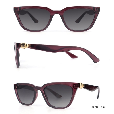 PC Frame Sunglasses