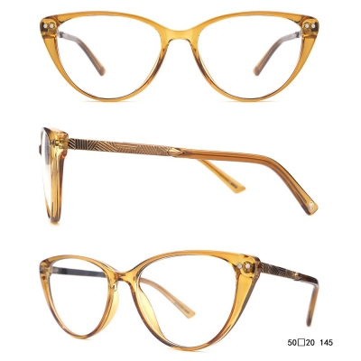 PC Frame Sunglasses