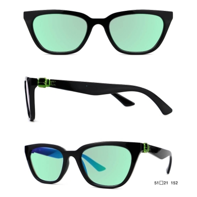 PC Frame Sunglasses